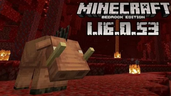 Minecraft 1.16.0.53 (Test version)