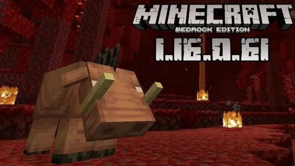 Minecraft 1.16.0.61 (Test version)