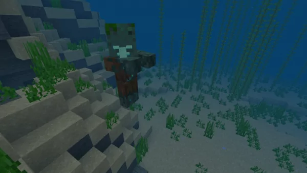 Drowned Villager