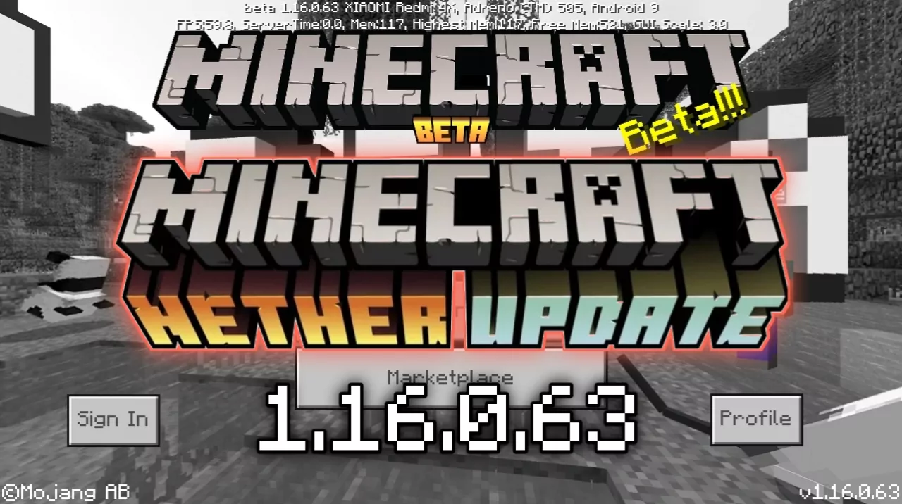 Minecraft PE 1.16.0.63 (Test version)