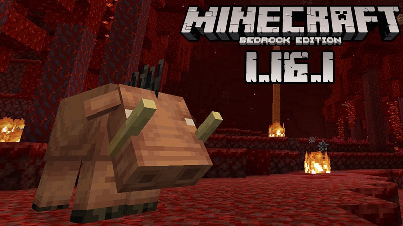 Minecraft 1.16.1 (Full version)