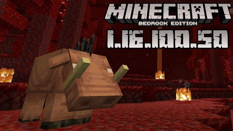 Minecraft 1.16.100.50 (Test version)