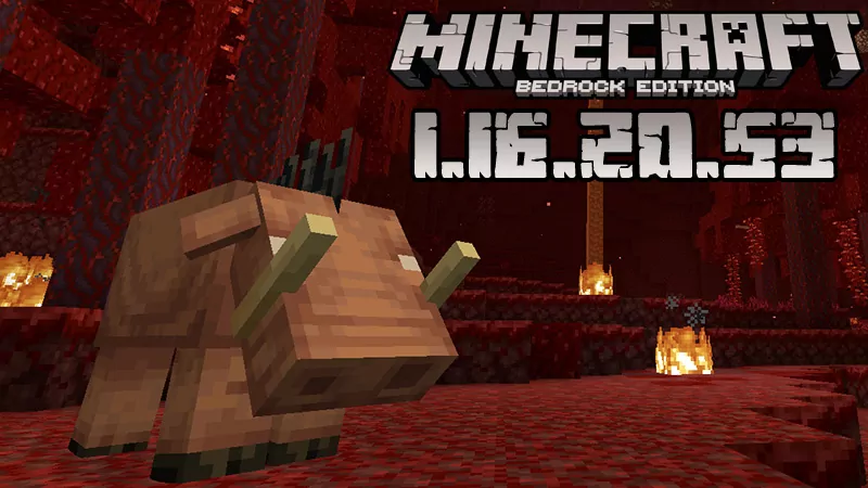 Minecraft 1.16.20.53 (Test version)