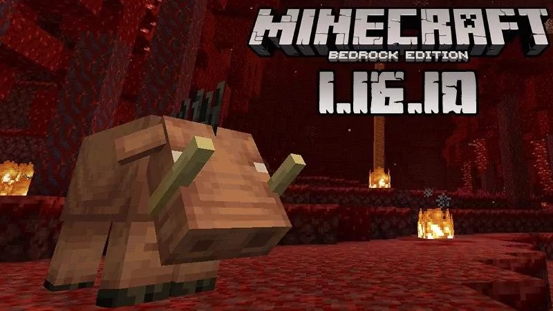 Minecraft 1.16.10 (Full version)