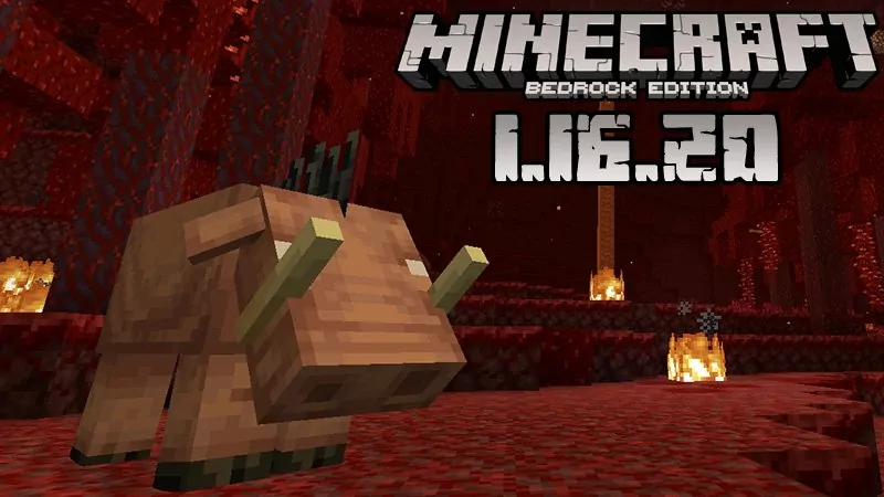 Minecraft PE 1.16.20 (Full version)