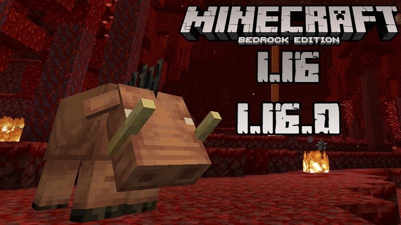 Minecraft 1.16 (Full version)