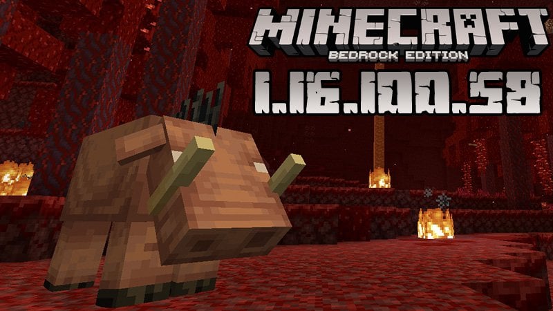 Minecraft 1.16.100.58 (Beta version)