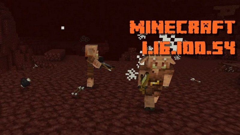 Minecraft 1.16.100.54 (Beta version)