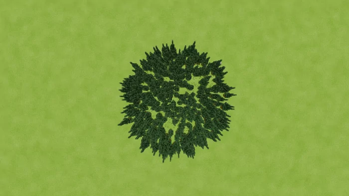 Forest Generator Map