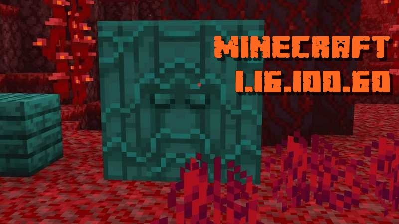 Minecraft 1.16.100.60 (Beta version)