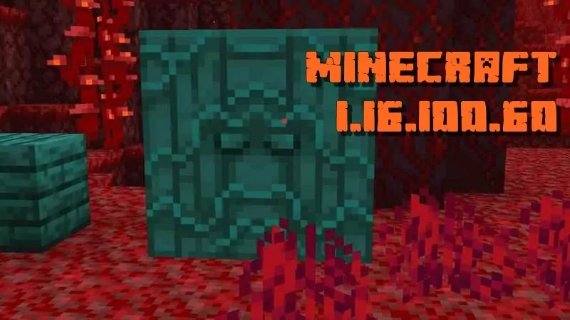 Minecraft 1.16.100.60 (Beta version)