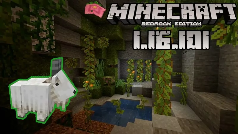 Minecraft 1.16.101 (Full version)