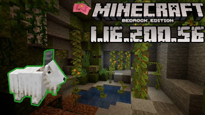 Minecraft 1.16.200.56 (Test version)