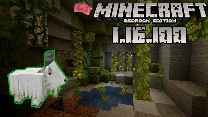 Minecraft 1.16.100 (Full version)