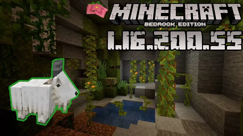 Minecraft 1.16.200.55 (Test version)