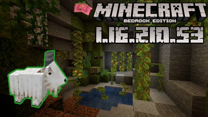 Minecraft 1.16.210.53 (Test version)