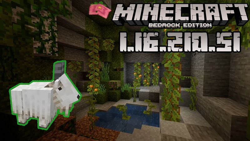 Minecraft 1.16.210.51 (Test version)