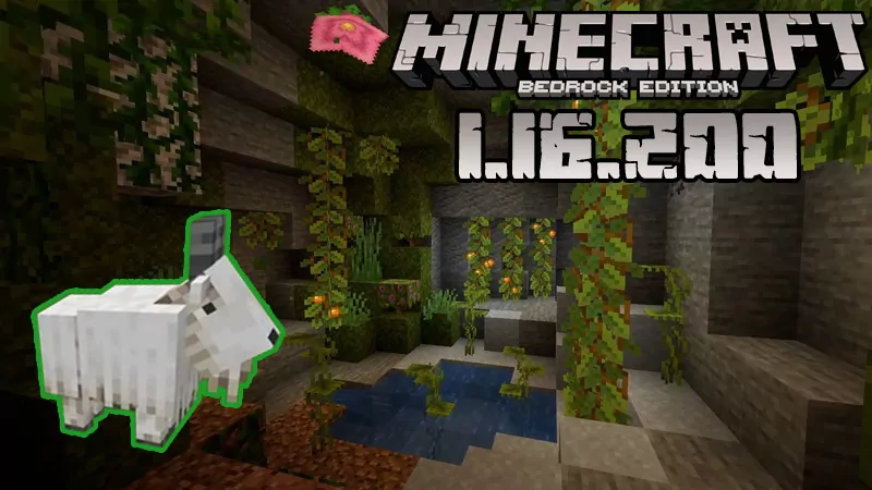 Minecraft 1.16.200 (Full version)