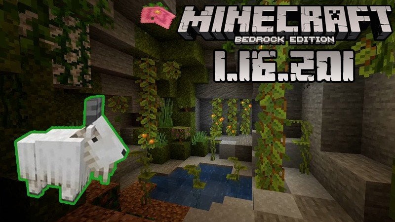 Minecraft 1.16.201 (Full version)