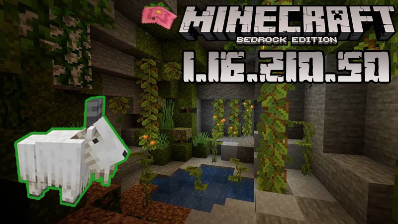 Minecraft 1.16.210.50 (Test version)