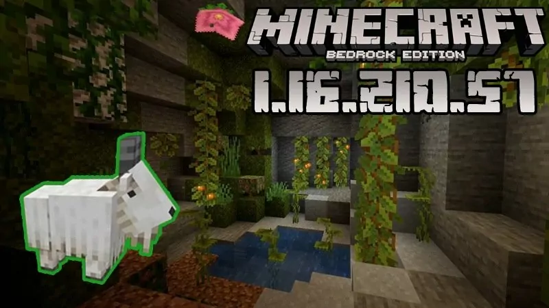 Minecraft 1.16.210.57 (Test version)