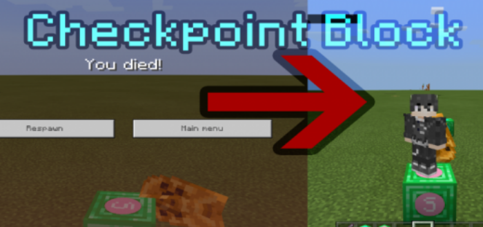 Checkpoint Blocks