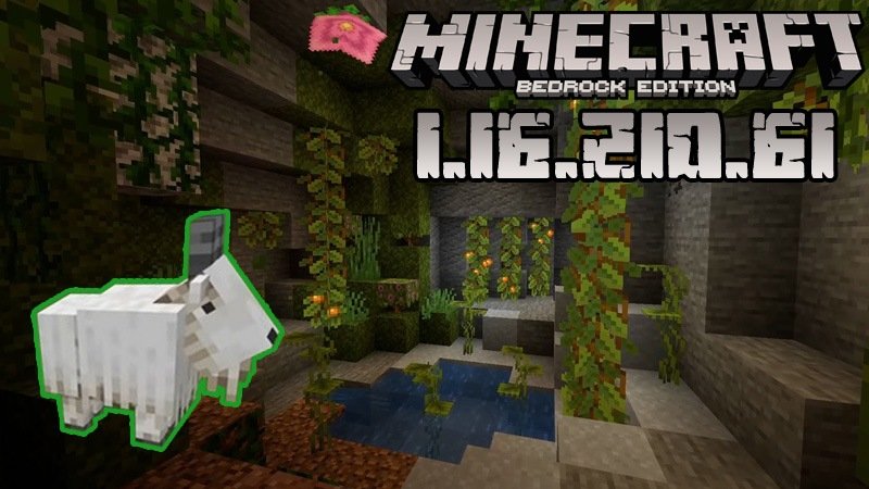 Minecraft 1.16.210.61 (Test version)