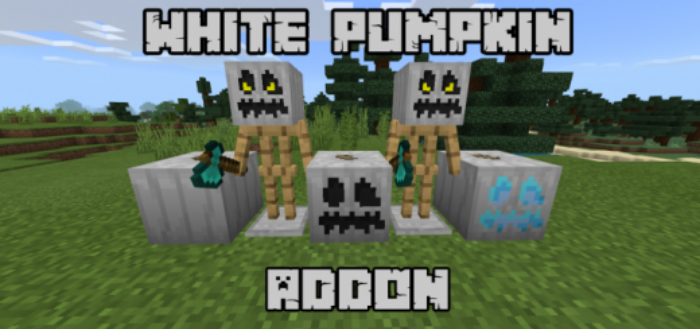 White Pumpkin