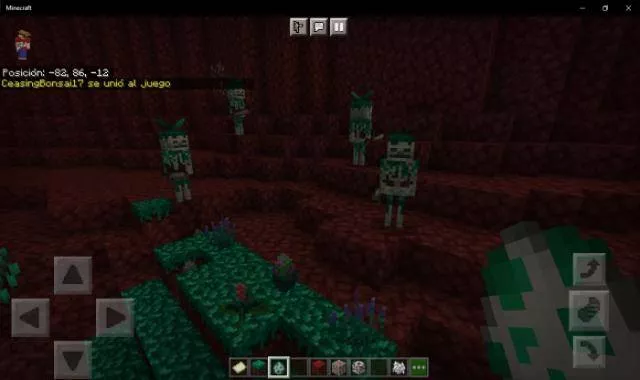 Better Nether Beta 2