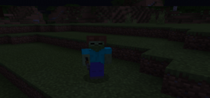 Life of a Zombie
