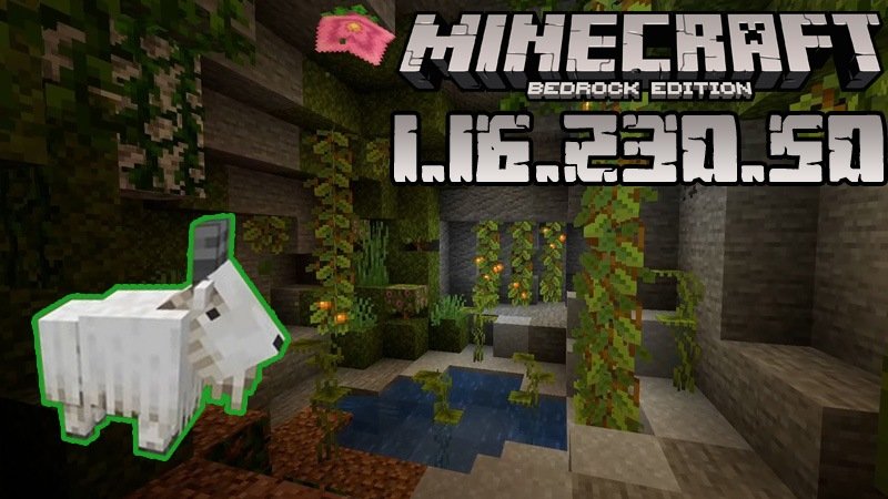 Minecraft 1.16.230.50 (Test version)