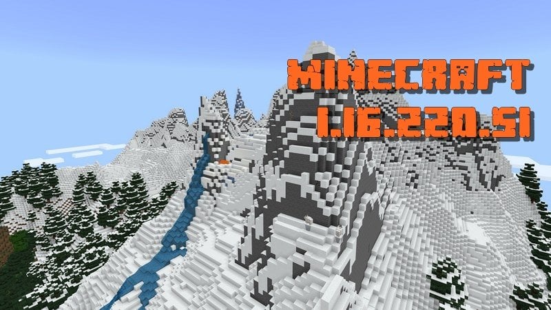 Minecraft 1.16.220.51 (Test version)