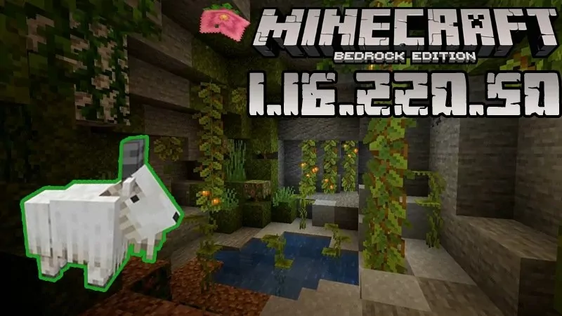 Minecraft 1.16.220.50 (Test version)