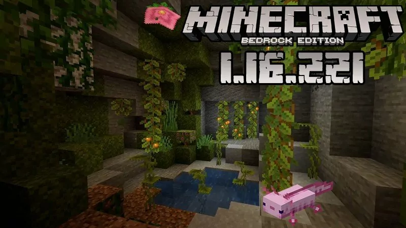 Minecraft 1.16.221 (Full version)