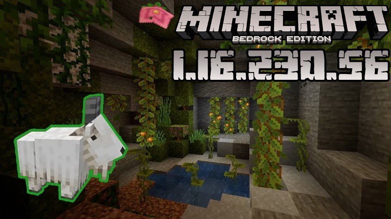 Minecraft 1.16.230.56 (Test version)