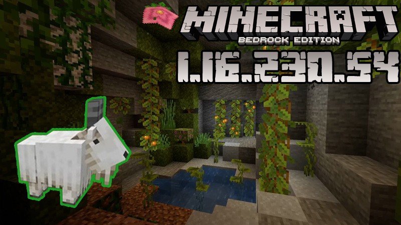 Minecraft 1.16.230.54 (Test version)