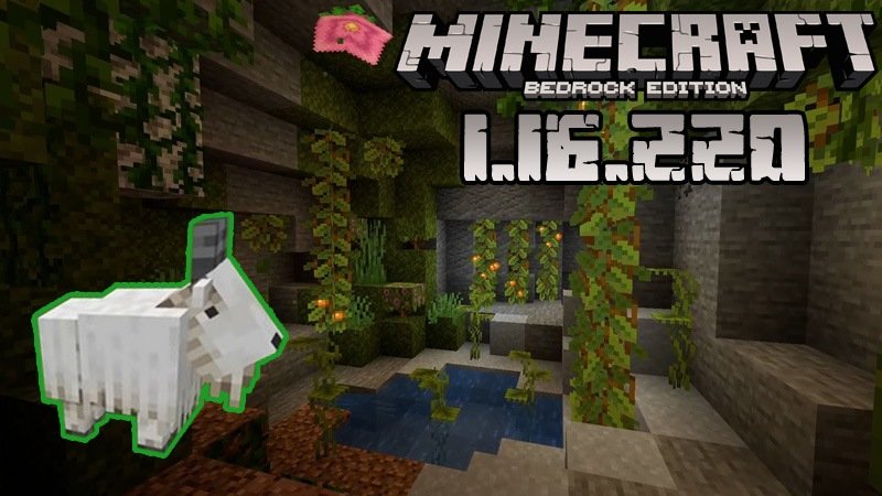 Minecraft 1.16.220.02 (Full version)