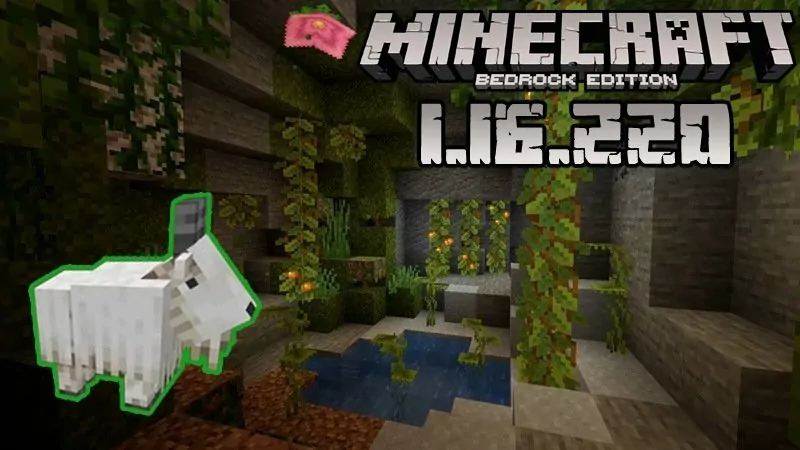 Minecraft 1.16.220.02 (Full version)