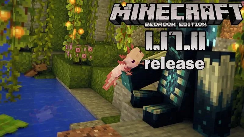 Minecraft 1.17.11 (Full version)