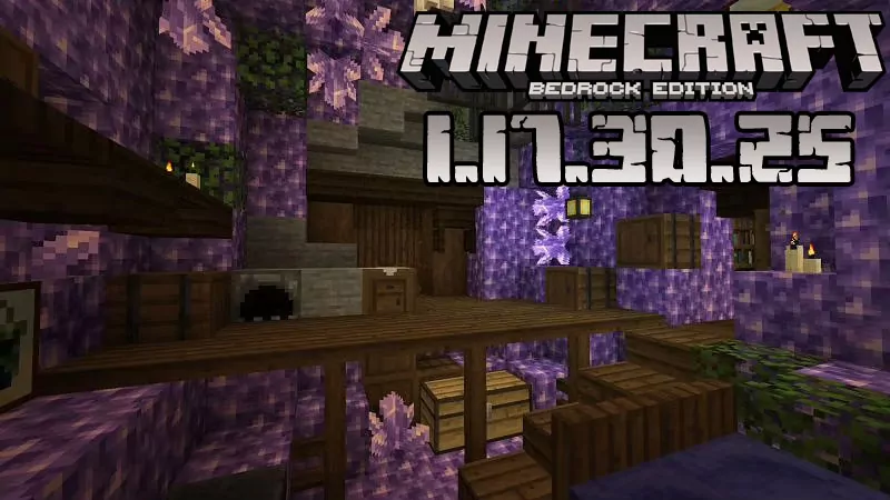 Minecraft 1.17.30.25 (Test version)