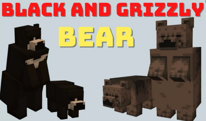 Black and Grizzly Bear