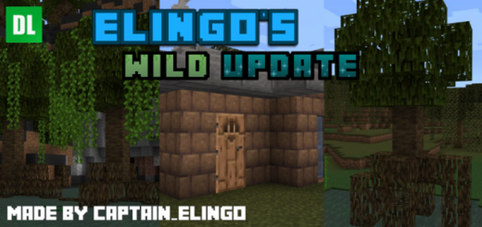 Elingo's The Wild Update Concept