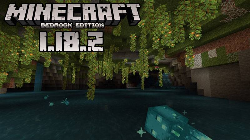 Minecraft 1.18.2 (Full version)