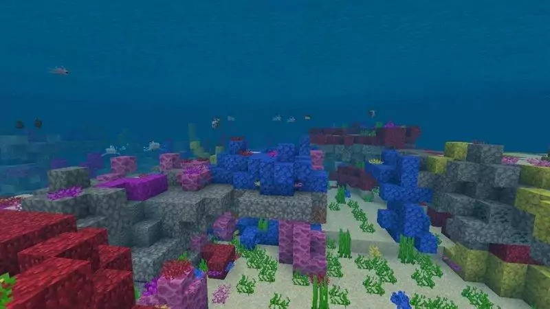 Exploring Biomes: Warm Ocean