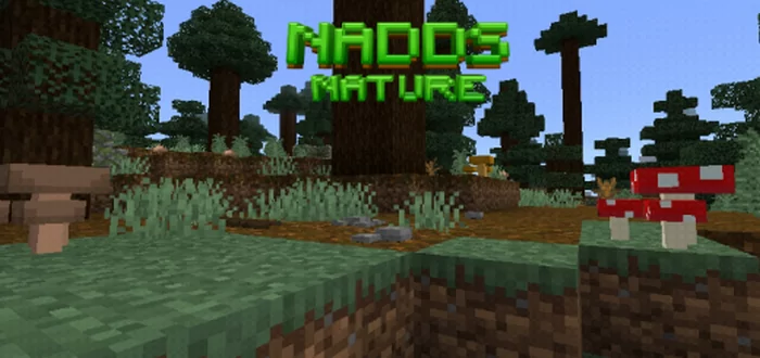 Nadd Series: Nature