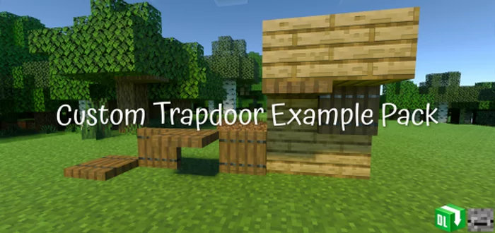 Custom Trapdoor