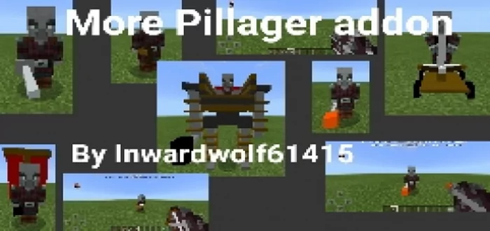 More Types Of Pillagers