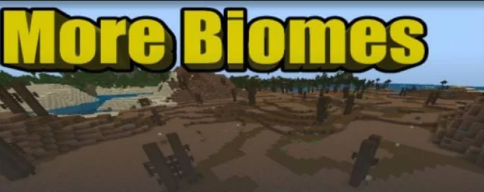 More Biomes