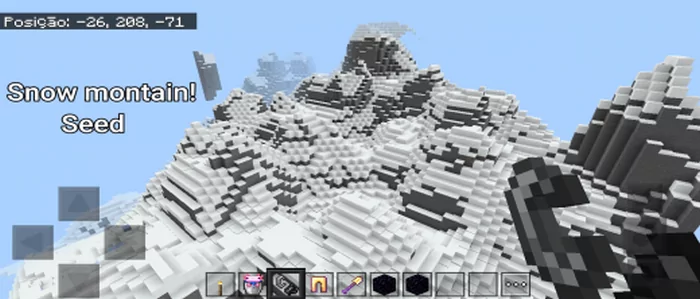 Seed for Large Snowy Mountain