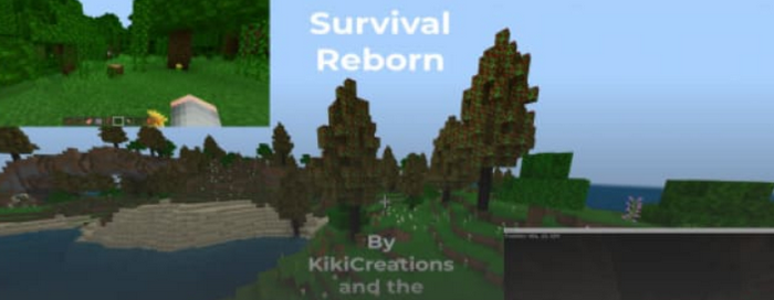 Survival Reborn